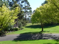 Picture from Courtyard